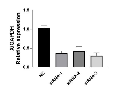 RNAi(图1)