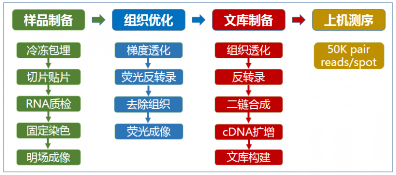 空间转录组测序实验流程