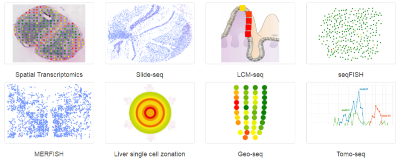 常见空间转录组技术