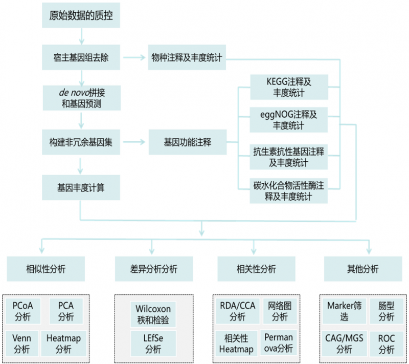 伯豪生物宏基因组测序分析流程图