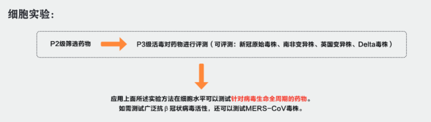 这是描述信息