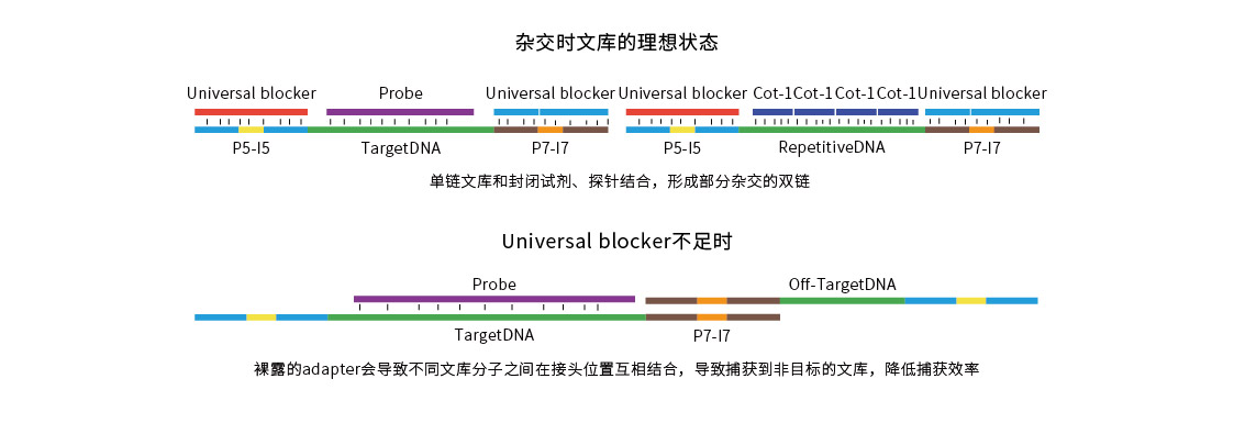 封闭液系列产品-04