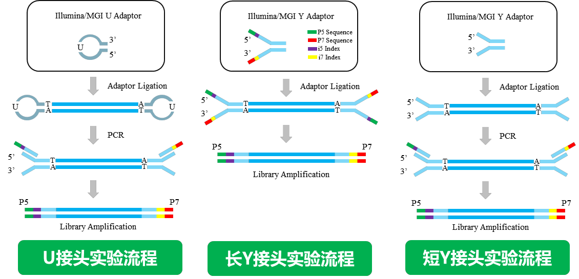 WPS图片(1)