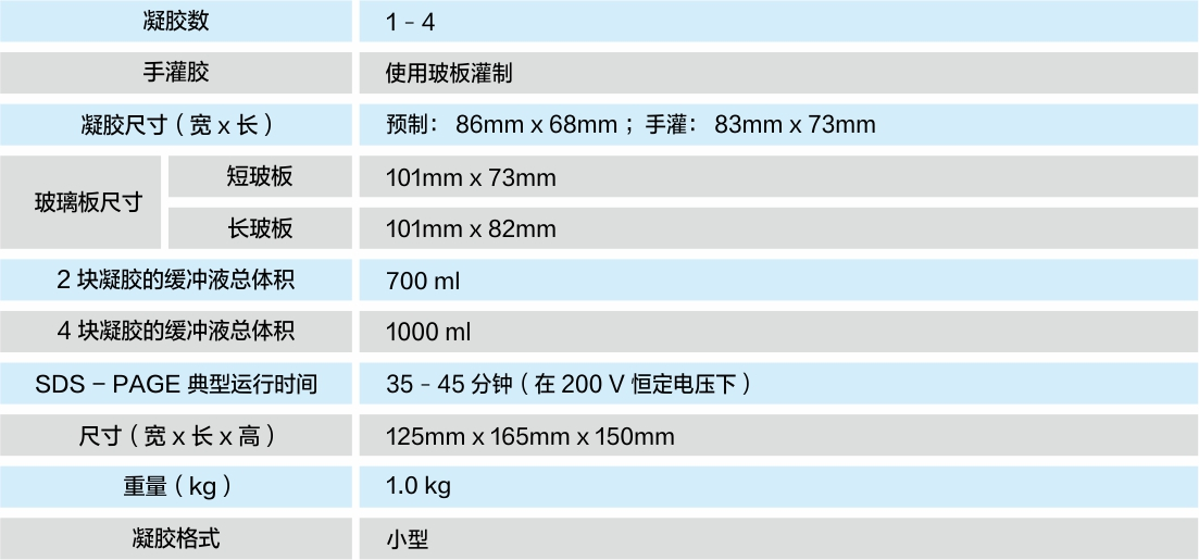 垂直电泳.jpg