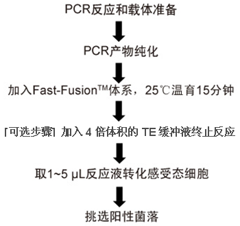 CP-C9NU-01