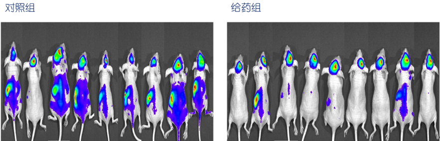  创模生物科技（北京）有限公司